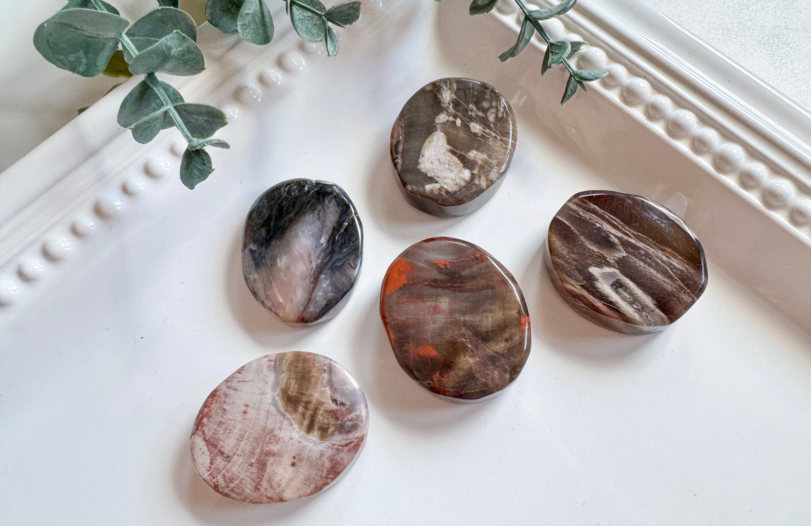Petrified Wood Flat Palm Stone