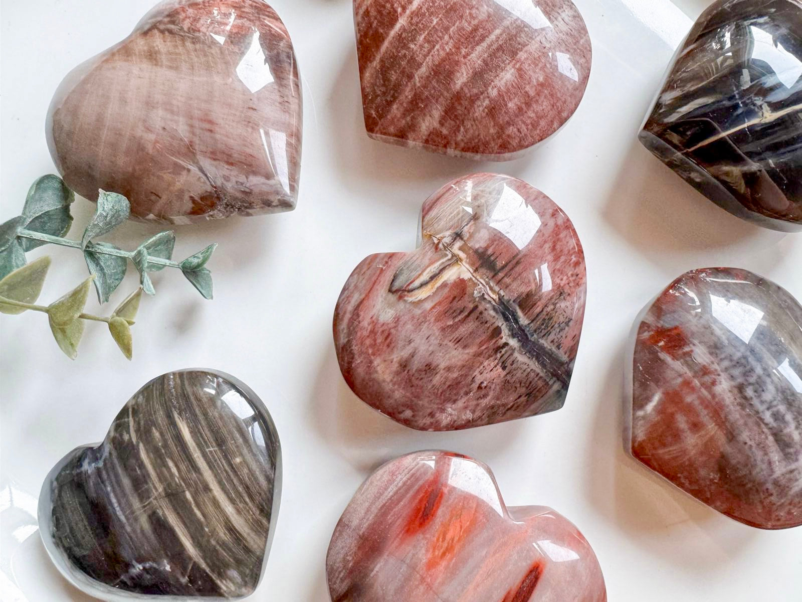 Petrified Wood Heart
