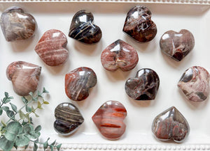 Petrified Wood Heart