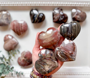 Petrified Wood Heart