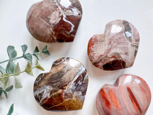 Petrified Wood Heart