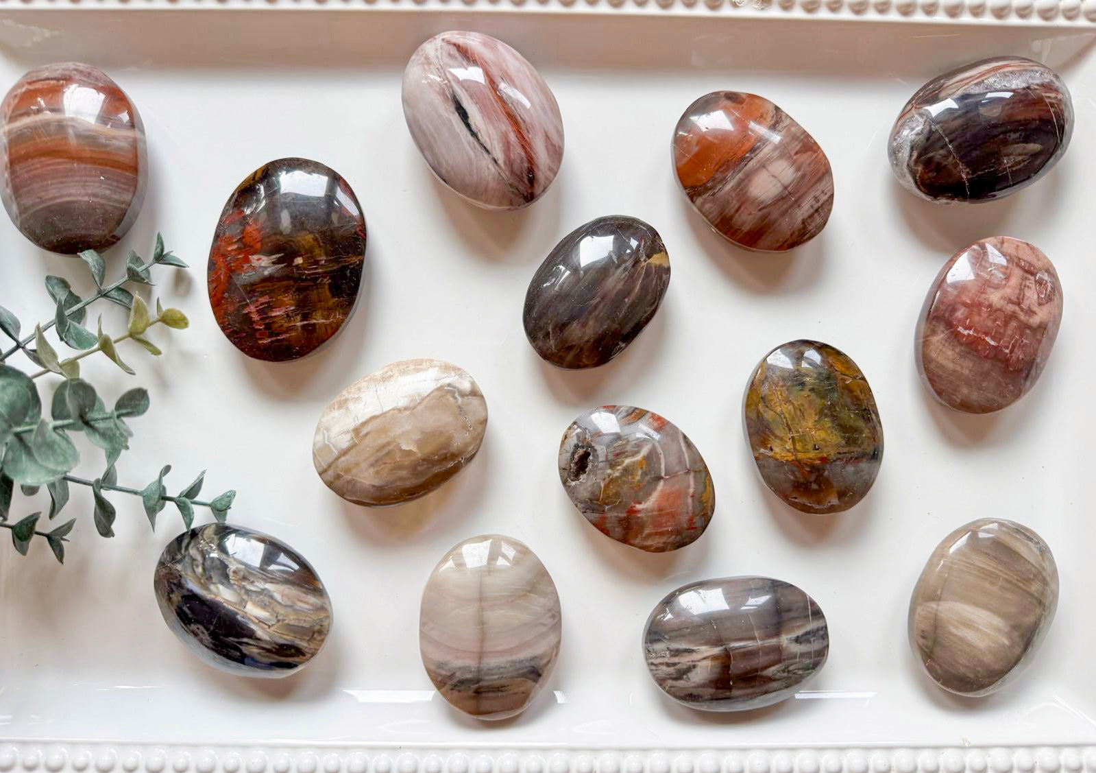 Petrified Wood Palm Stone