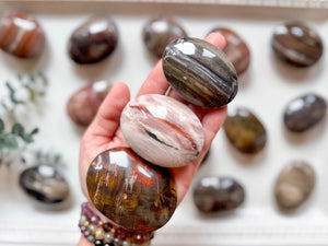 Petrified Wood Palm Stone