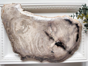 Petrified Wood Plate Indonesia