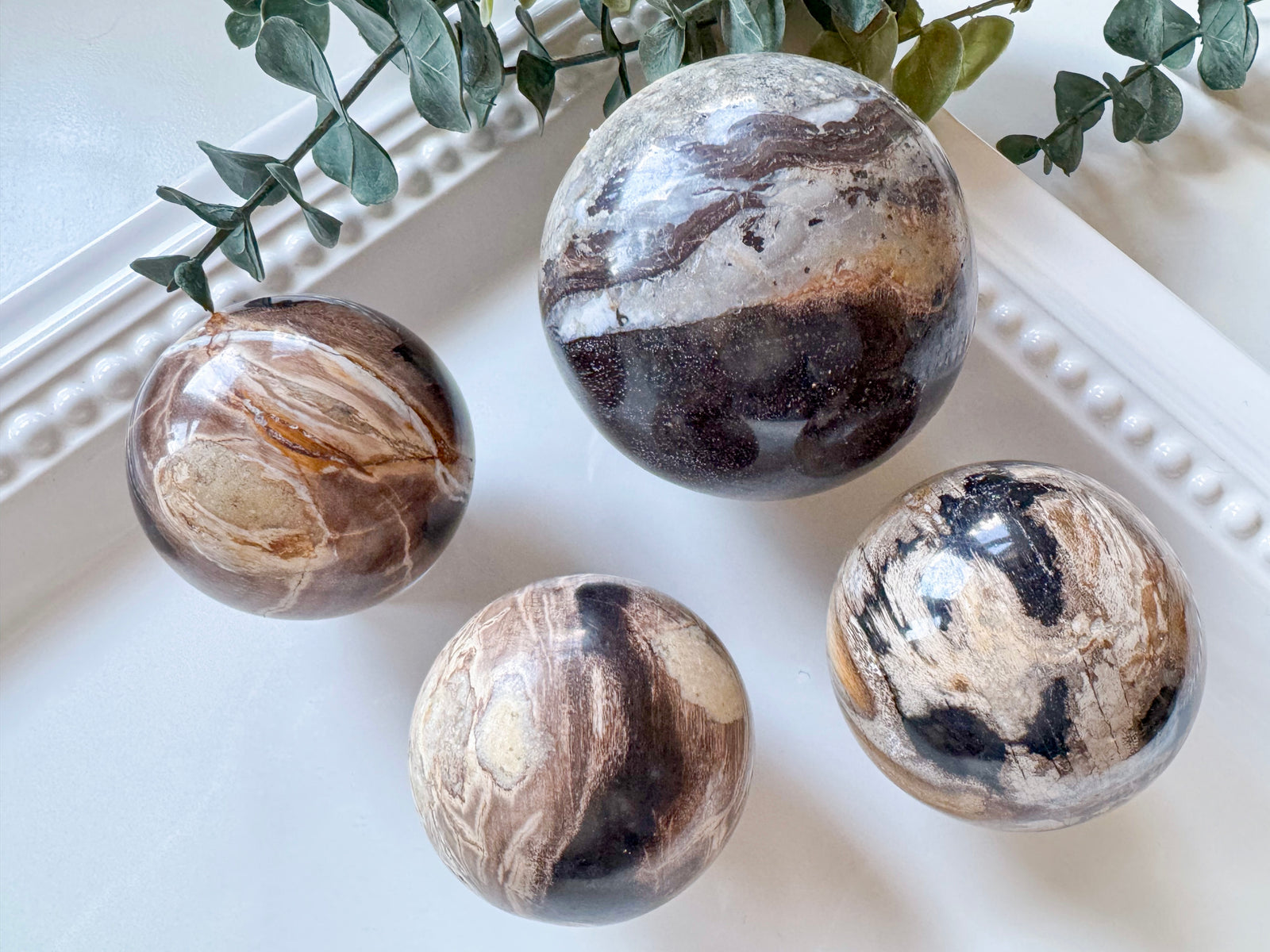 Petrified Wood Sphere || Indonesia