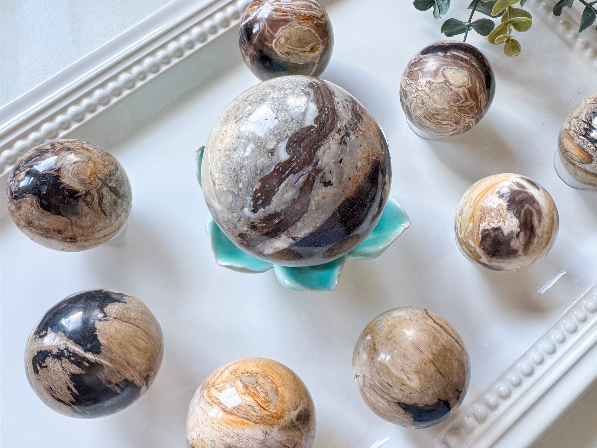Petrified Wood Sphere || Indonesia