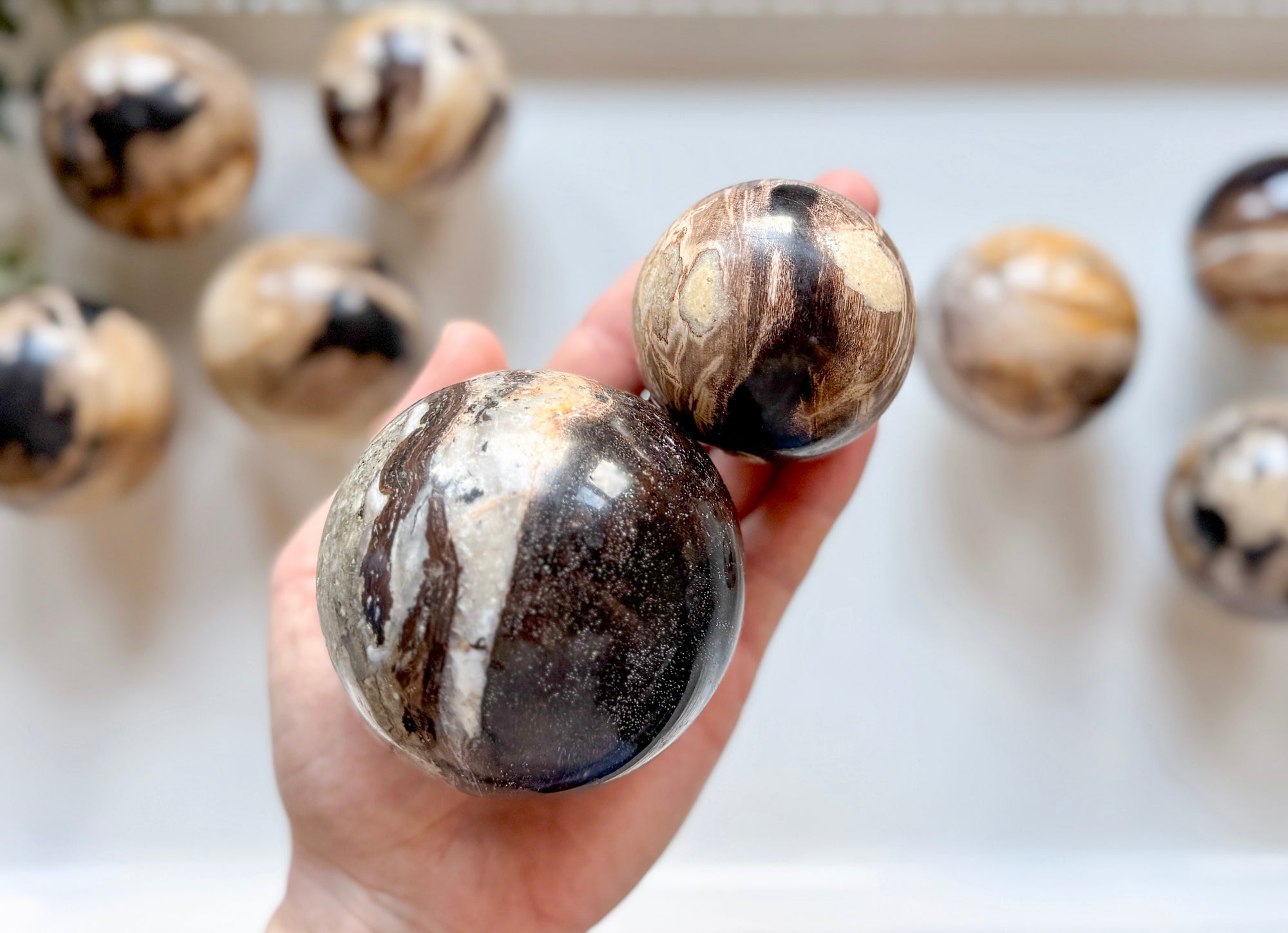 Petrified Wood Sphere || Indonesia