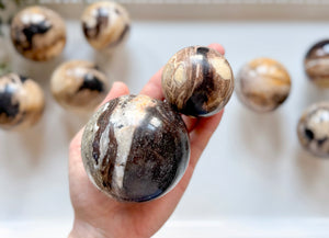Petrified Wood Sphere || Indonesia