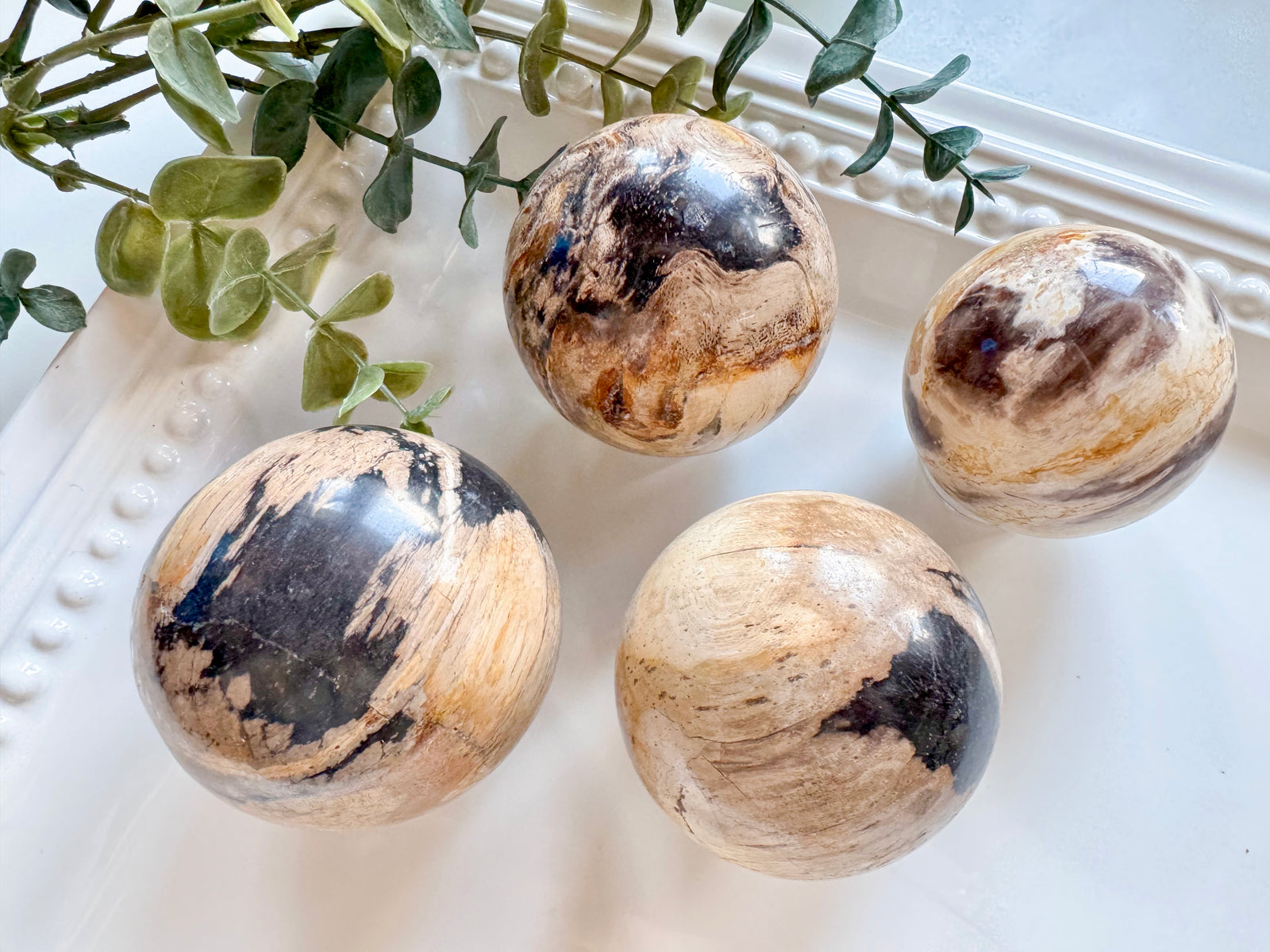 Petrified Wood Sphere || Indonesia