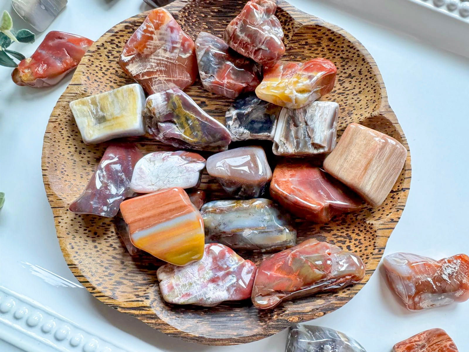 Petrified Wood Tumbled Raw Pieces || Arizona