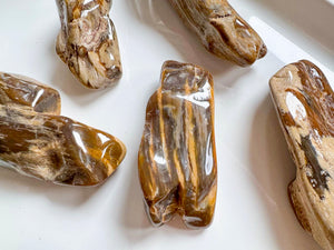 Petrified Wood Tumbled Raw Pieces || South Dakota