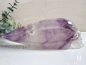 Phantom Amethyst Traveler Skull || Brazil || Pitico
