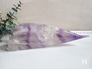 Phantom Amethyst Traveler Skull || Brazil || Pitico