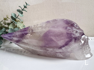 Phantom Amethyst Traveler Skull || Brazil || Pitico