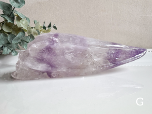 Phantom Amethyst Traveler Skull || Brazil || Pitico