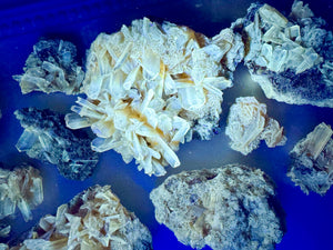 Phosphorescent Glow Selenite || Peru