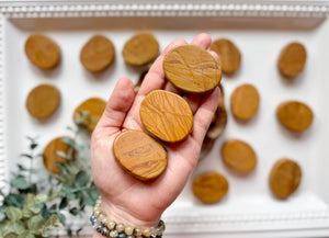 Picture Jasper Flat Palm Stone
