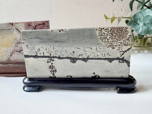 Picture Jasper Slab in Wood Stand