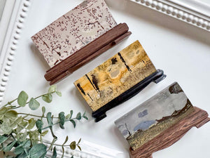 Picture Jasper Slab in Wood Stand