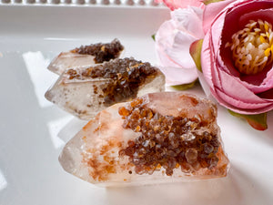 Pink Rose Lemurian Points || Brazil