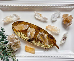 Platosa Selenite || Durango, Mexico