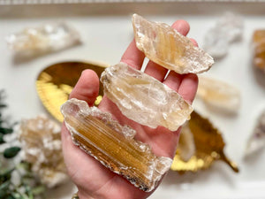Platosa Selenite || Durango, Mexico