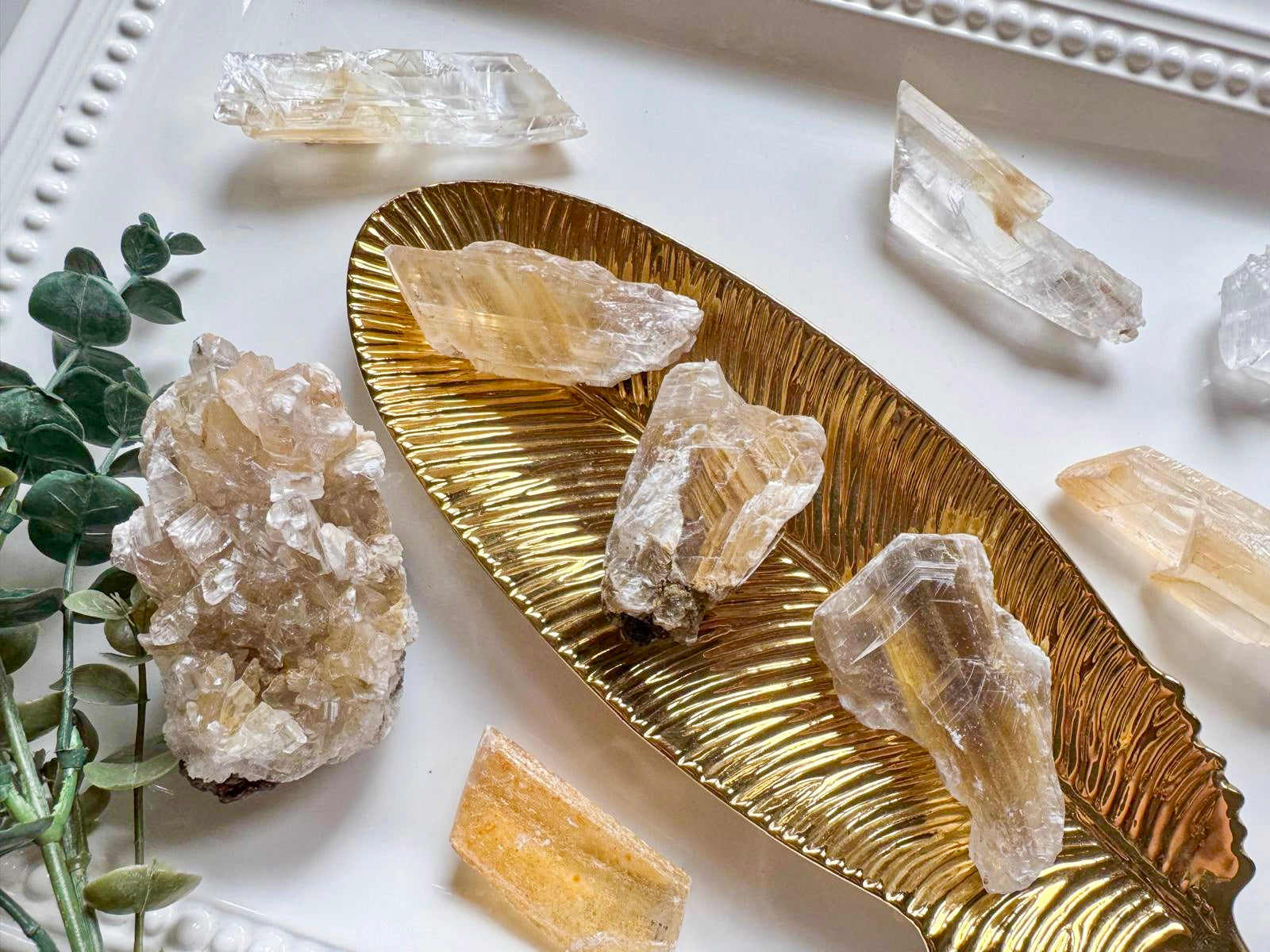 Platosa Selenite || Durango, Mexico
