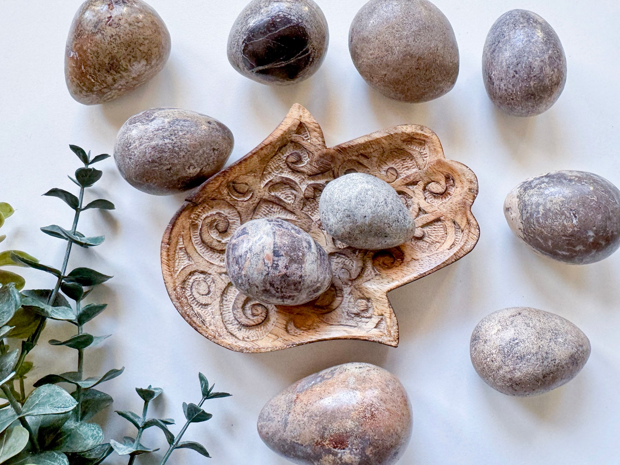 Polished Dinosaur Bone Egg || Madagascar