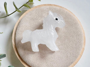 Pony Crystal Carving