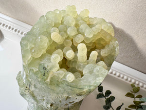 Prehnite Raw & Polished Skull