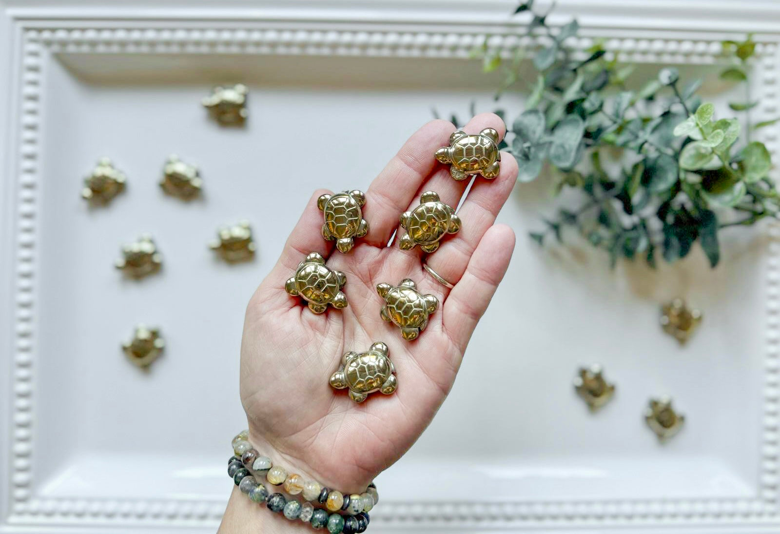 Pyrite Turtle