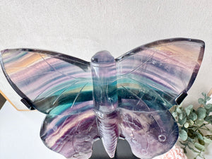 Rainbow Fluorite Butterfly with Custom Metal Stand