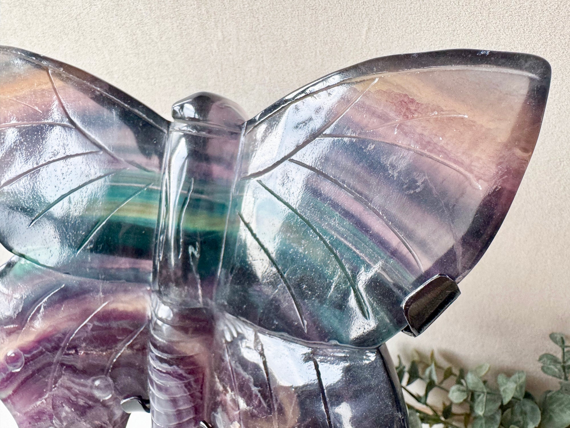 Rainbow Fluorite Butterfly with Custom Metal Stand
