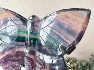 Rainbow Fluorite Butterfly with Custom Metal Stand