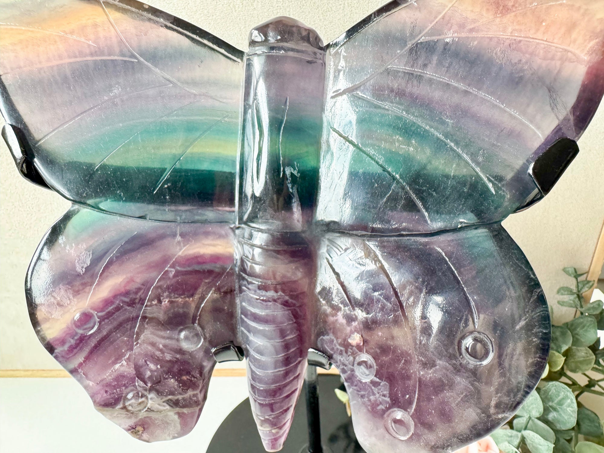 Rainbow Fluorite Butterfly with Custom Metal Stand