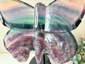 Rainbow Fluorite Butterfly with Custom Metal Stand