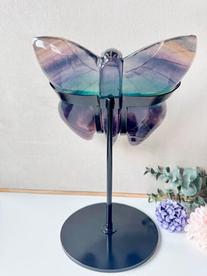 Rainbow Fluorite Butterfly with Custom Metal Stand