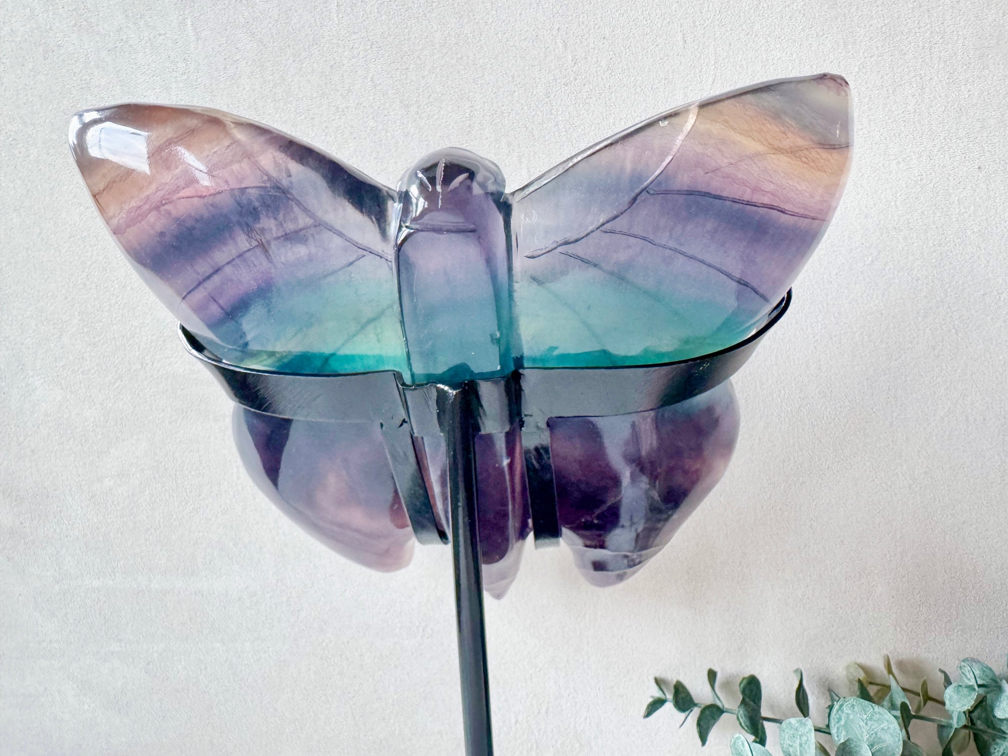 Rainbow Fluorite Butterfly with Custom Metal Stand