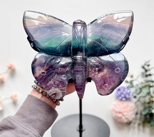 Rainbow Fluorite Butterfly with Custom Metal Stand