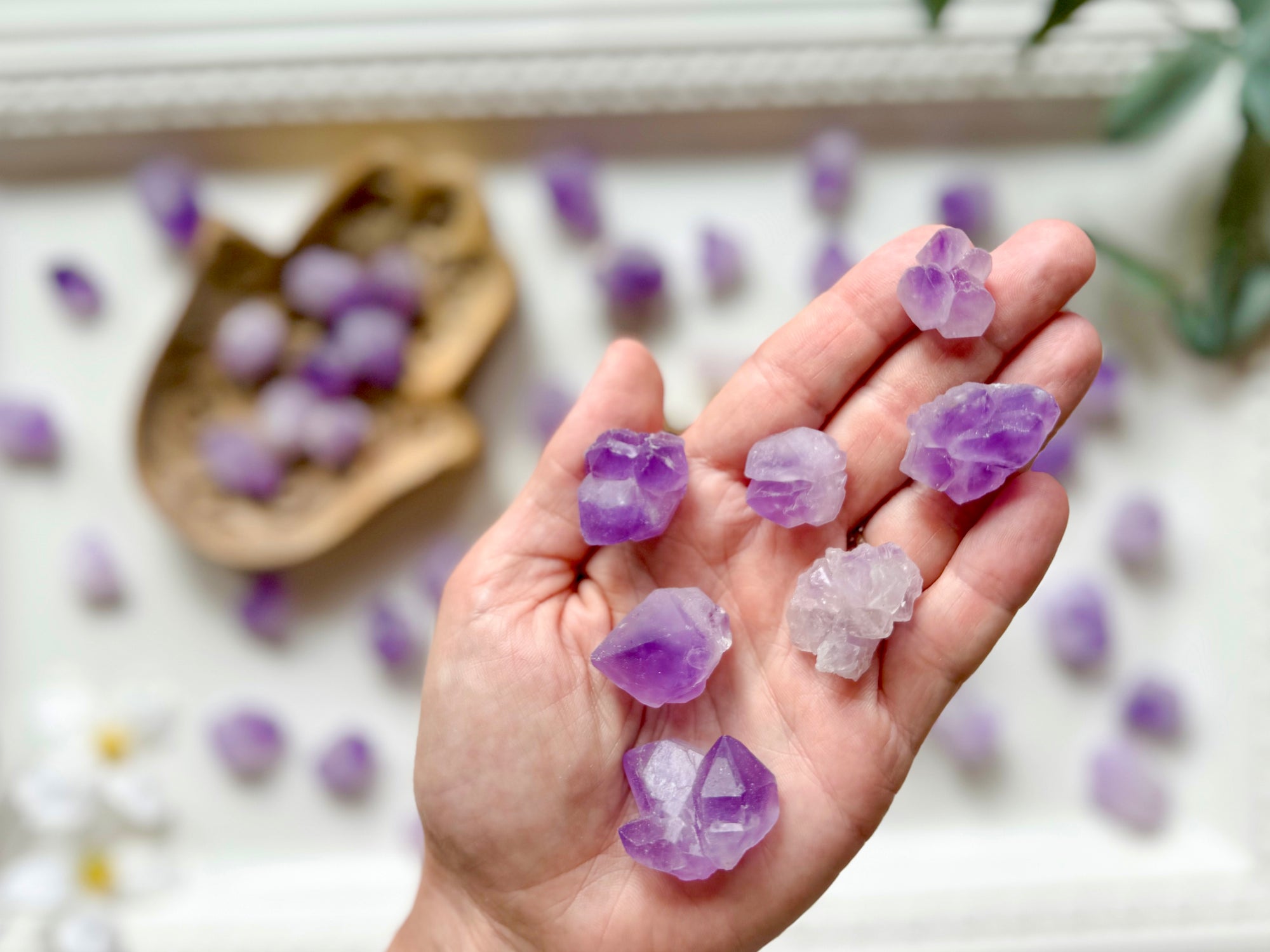 Raw Amethyst Teeth