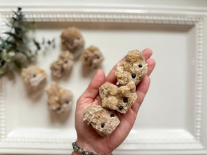 Raw Desert Rose Cute Critter Heads