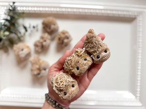 Raw Desert Rose Cute Critter Heads