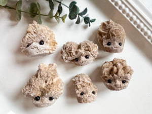 Raw Desert Rose Cute Critter Heads