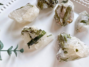 Raw Green Tourmaline in Quartz || Brazil
