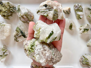 Raw Green Tourmaline in Quartz || Brazil