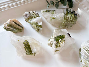 Raw Green Tourmaline in Quartz || Brazil