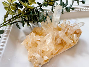 Raw Natural Citrine Cluster || Madagascar