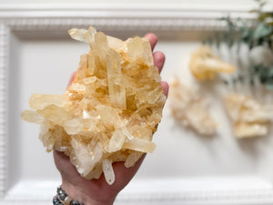 Raw Natural Citrine Cluster || Madagascar