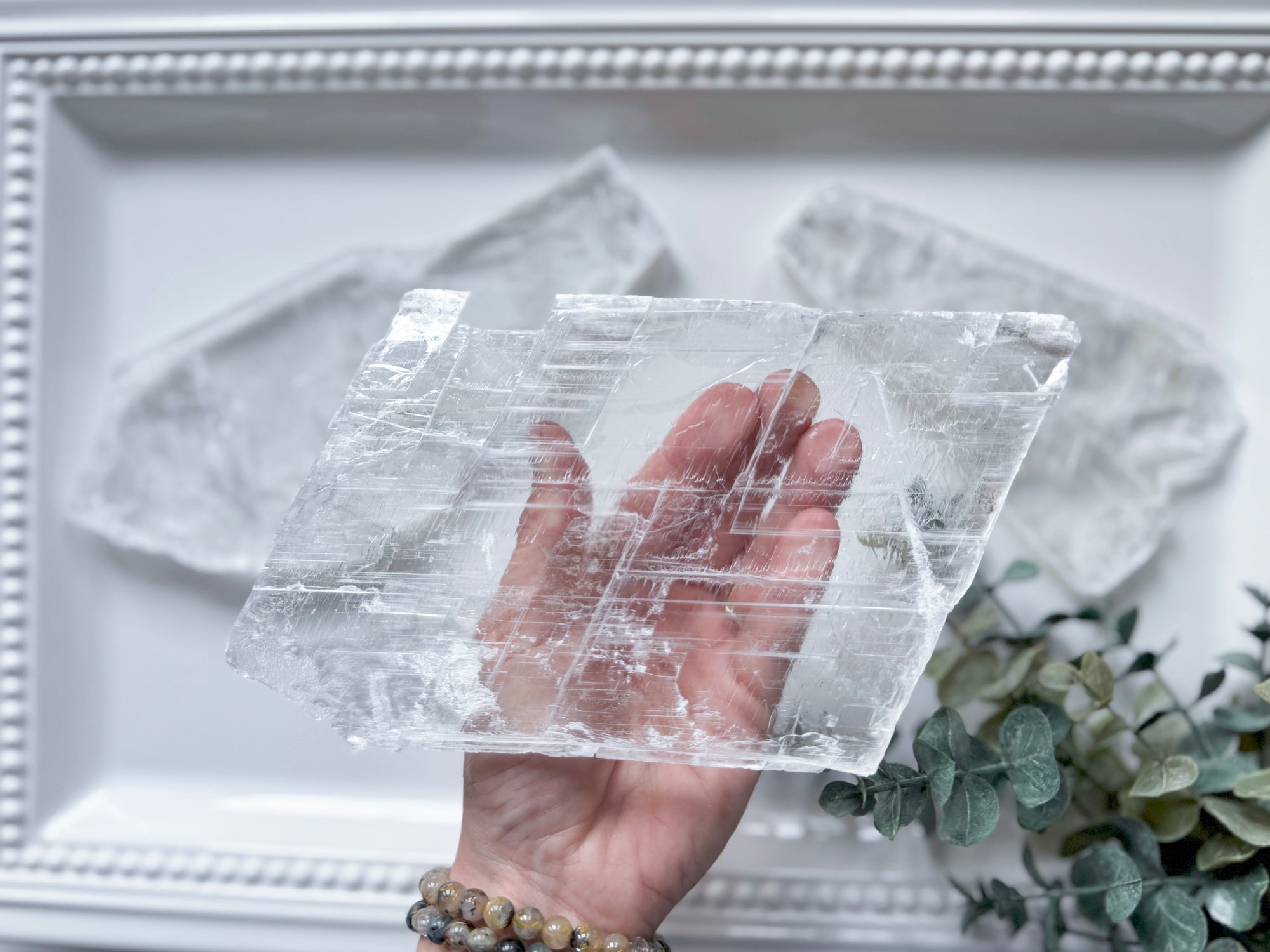 Raw Selenite Plate on Light Stand || White Light