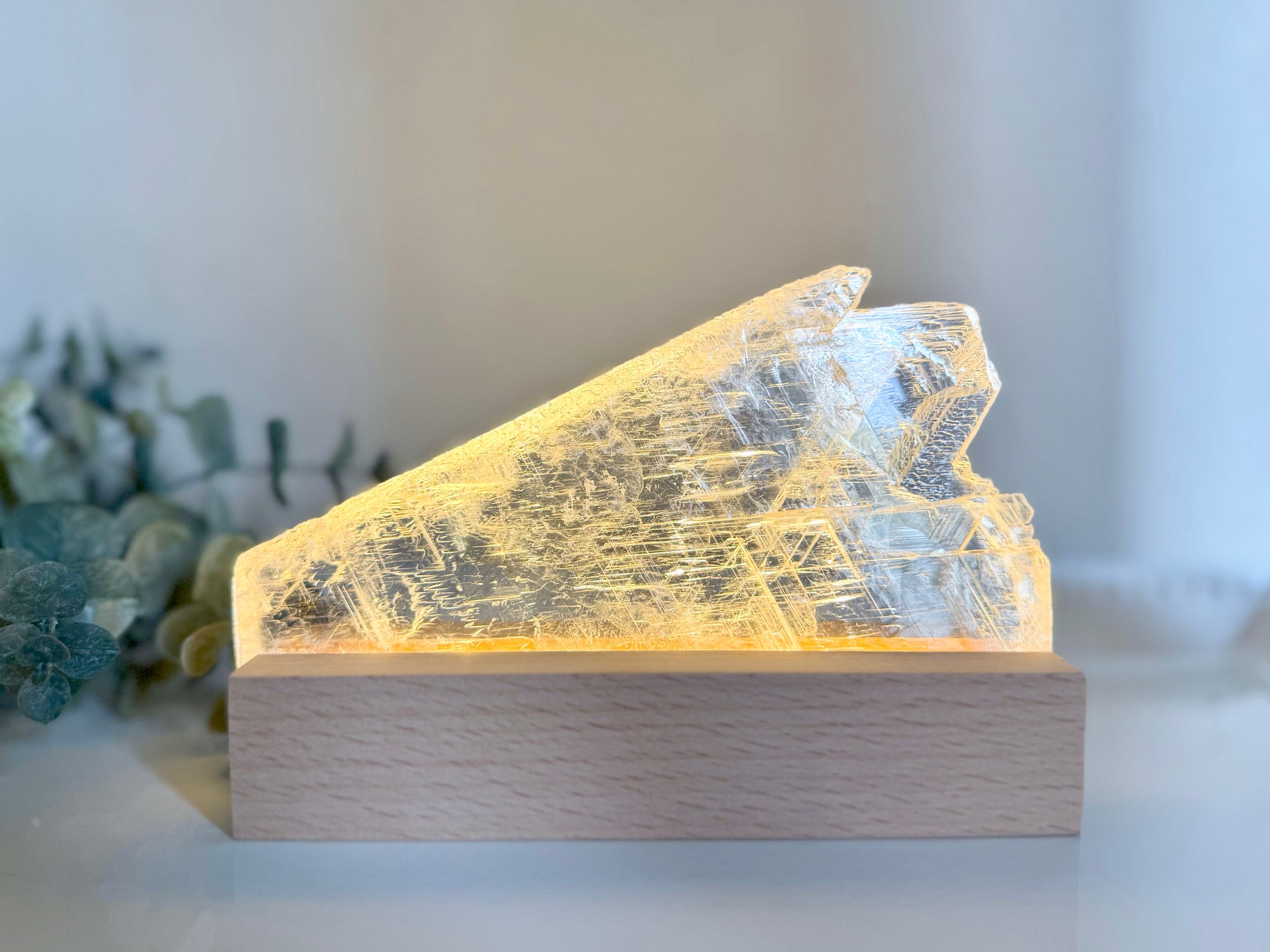 Raw Selenite Plate on Light Stand || White Light $33